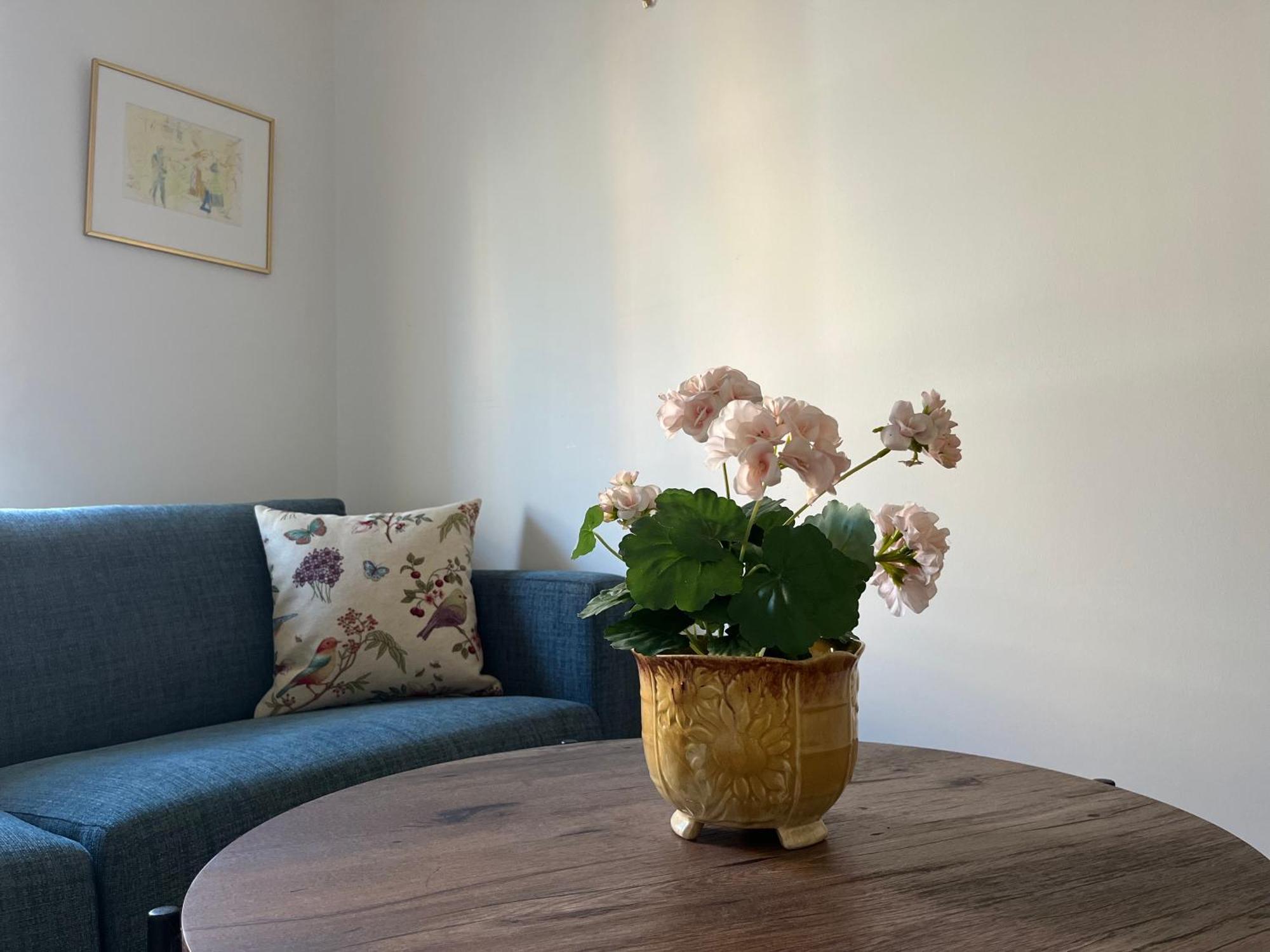Ahusbrygga Apartment Hotel Екстериор снимка